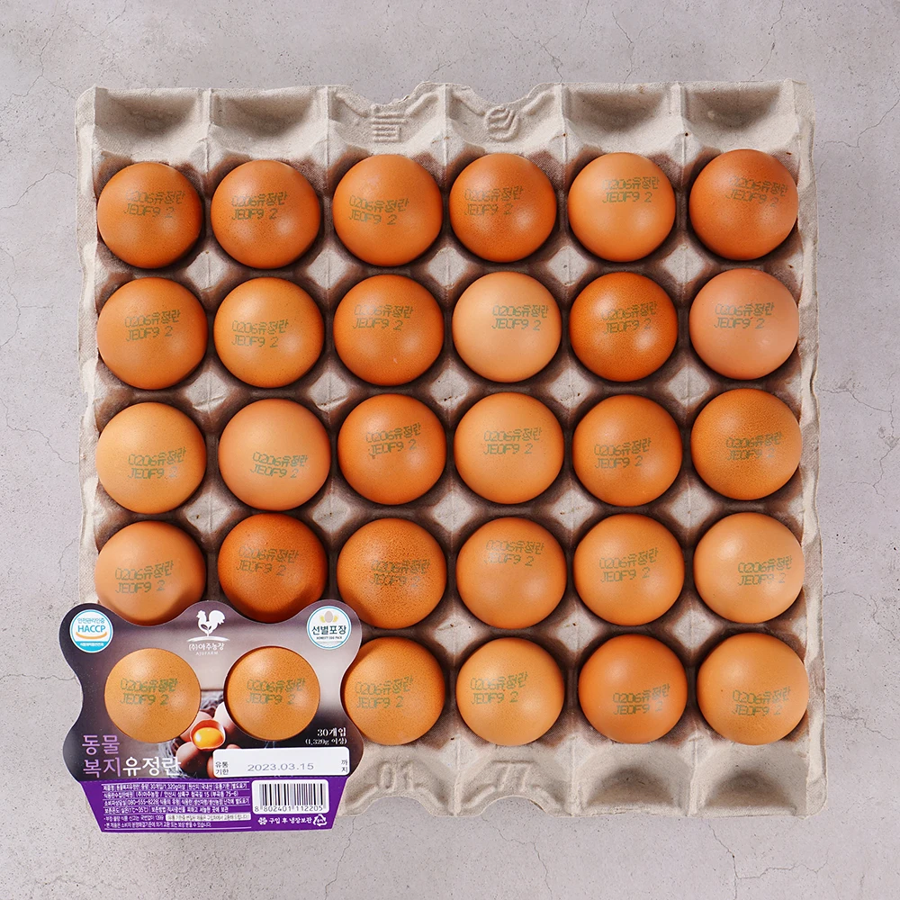 بيض طبيعي عضوي لرعاية الحيوانات ، 40 قطعة ، بيض صحة الحيوان ، 2