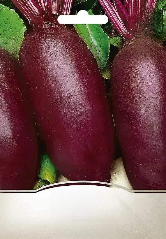 Beetroot Rouge Opolski 10g Graines VegAna