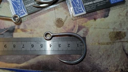 Imagen de reseña 4