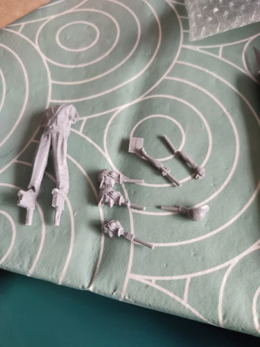 Buyer photo of this resin kit
