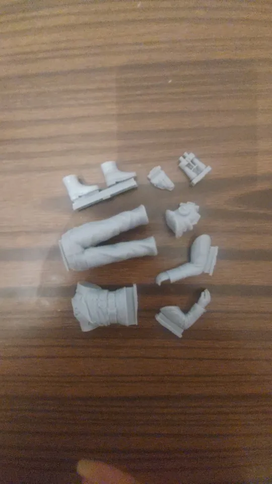 Buyer photo of this resin kit