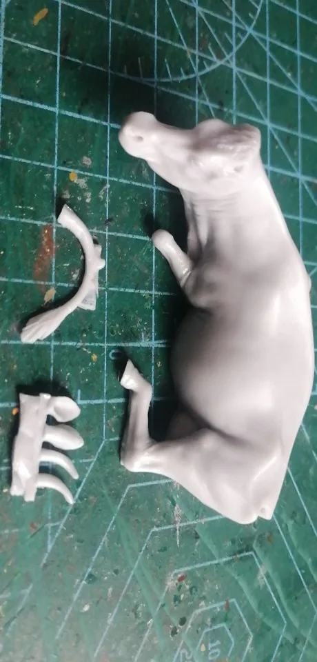 Buyer photo of this resin kit