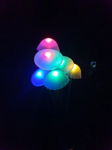 구매후기