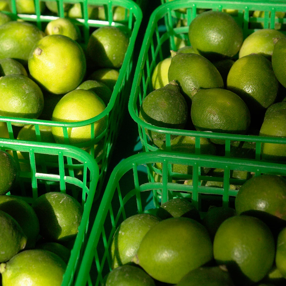 Lindy Premium Fresh Lime, Refreshing Mexican Lime, Mojito Lime, Lime Juice Fruit