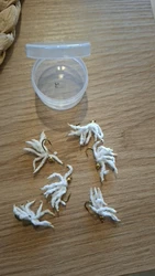 Imagen de reseña 1