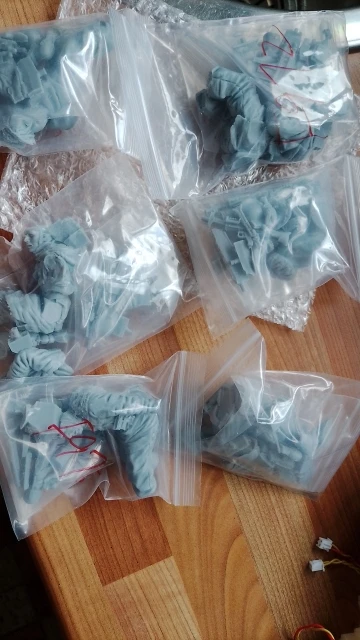 Buyer photo of this resin kit