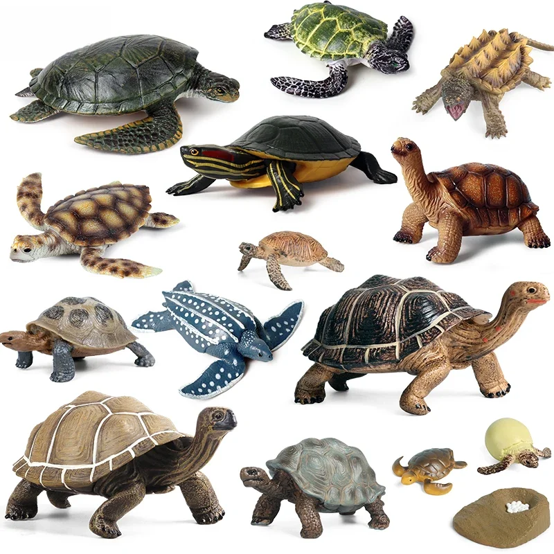 AliExpress Oenux Ocean Animals  Leatherback Tortoise Turtle Growth Cycle Sea Life Model Figurines Action