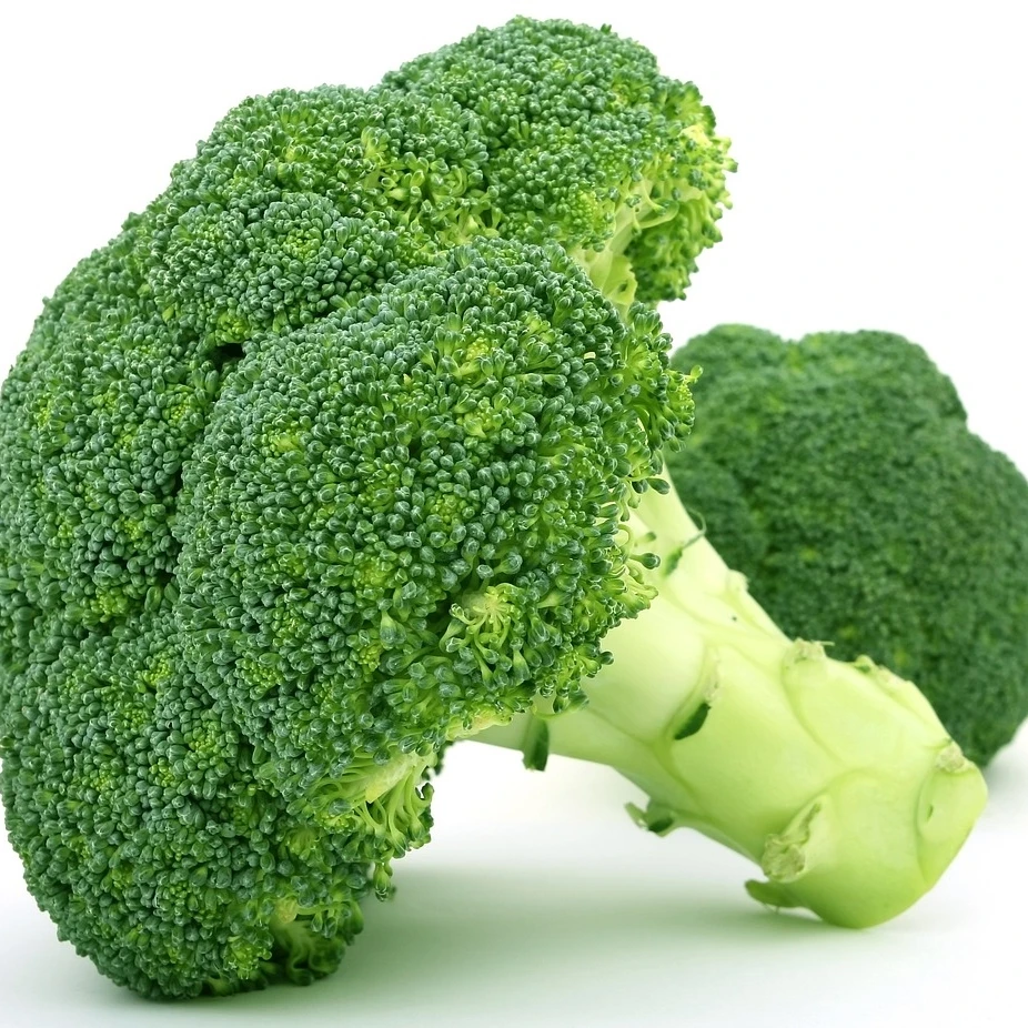 Brócoli de importación directa recién suministrado