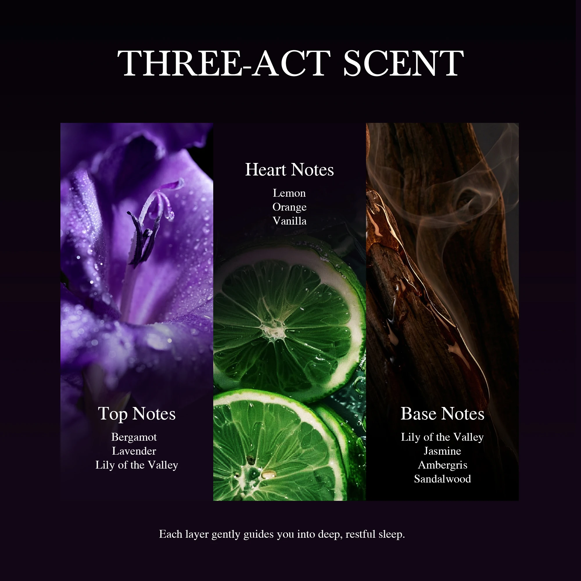 

Enchanting Floral Bouquet With Rose, Jasmine&Vanilla Long-Lasting Pheromone-Infused Fragrance
