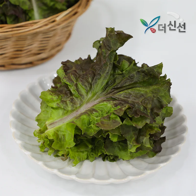 500g GAP certified red lettuce