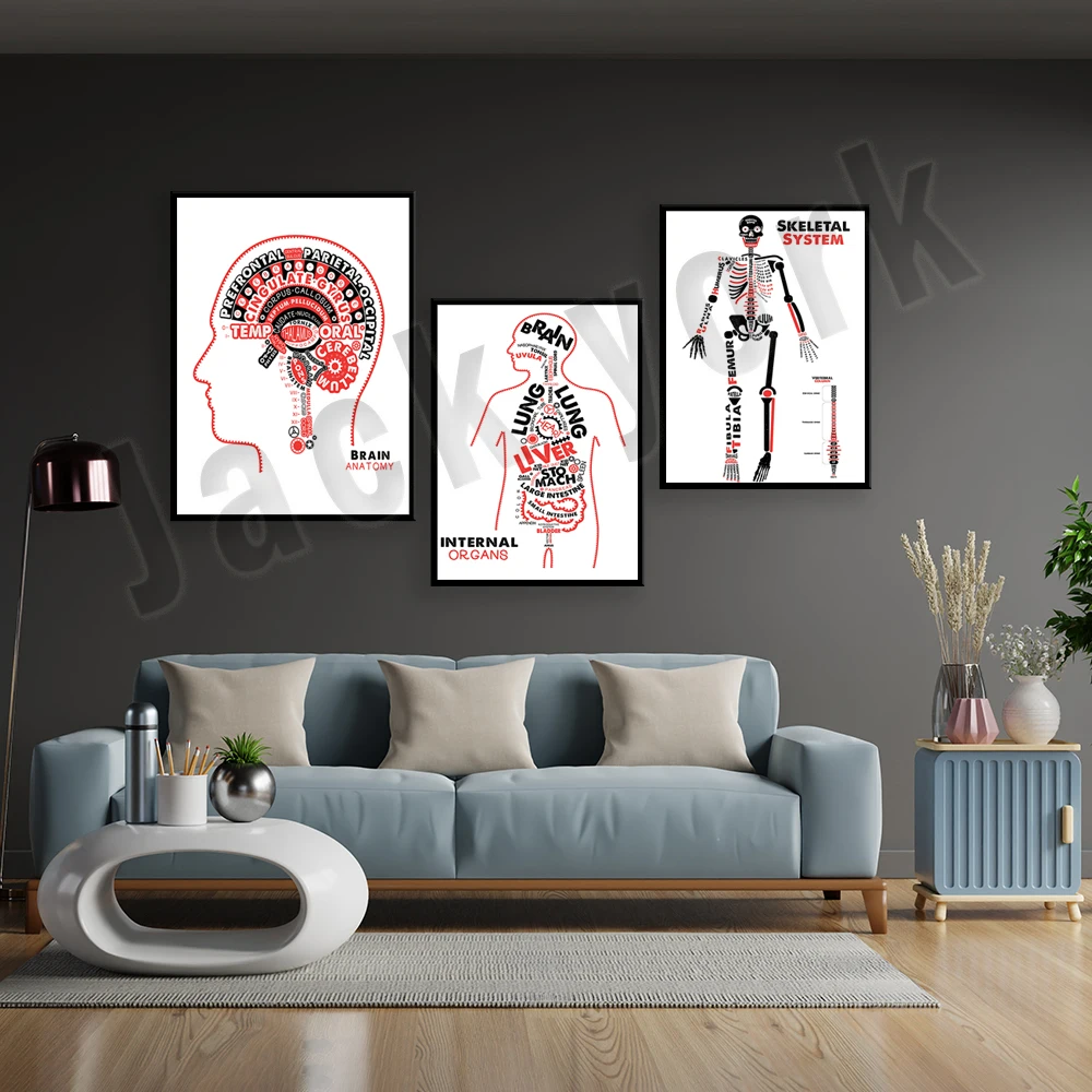 Internal organs, human skeleton anatomy poster, brain typography, educational biology, human organs, physiology illustration