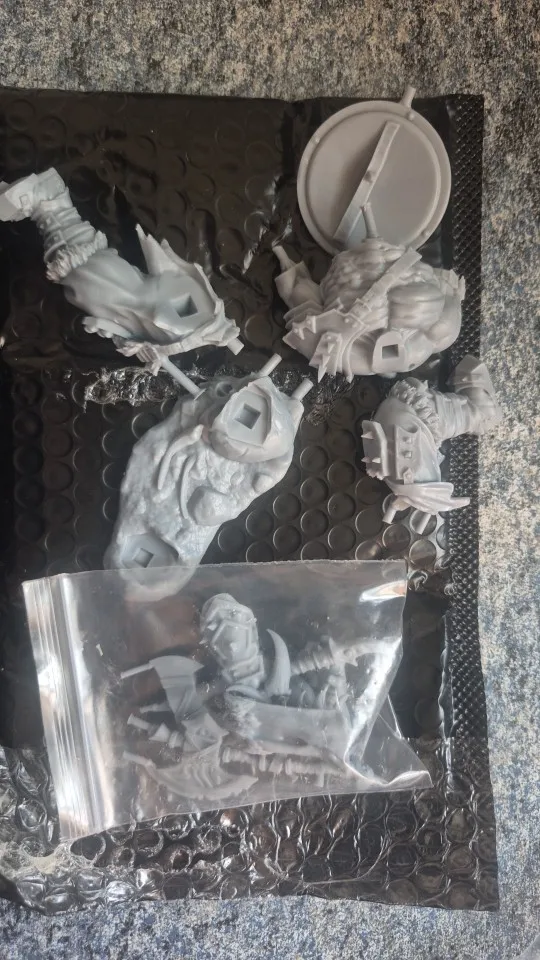 Buyer photo of this resin kit