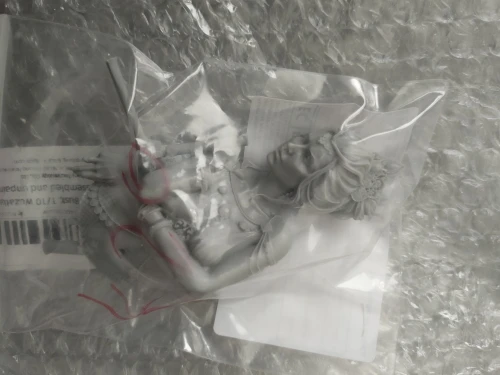 Buyer photo of this resin kit