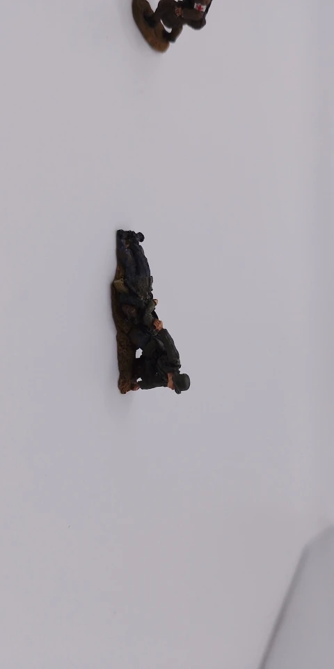 Buyer photo of this resin kit