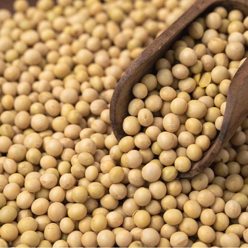 Blanco doméstico Tai 500g x 2 bongl meju sopa de frijoles frijol soja todo grano L paquete con cremallera paquete pequeño