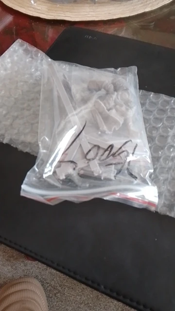 Buyer photo of this resin kit