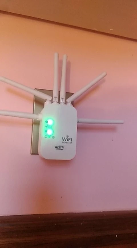 실물 포토 리뷰