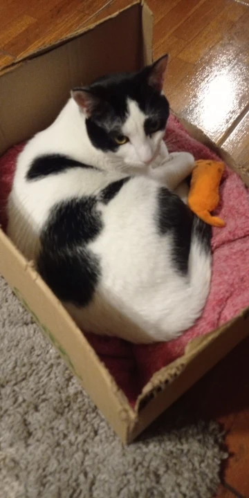 Photo sent by a buyer