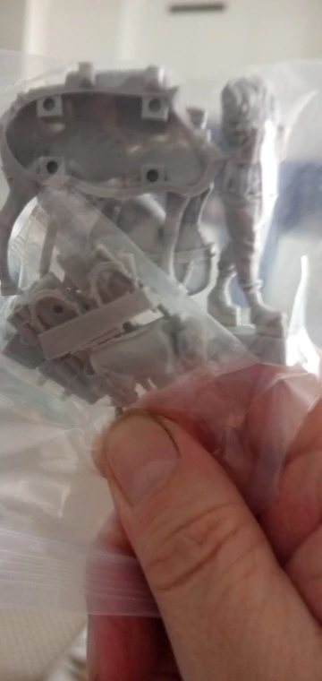 Buyer photo of this resin kit