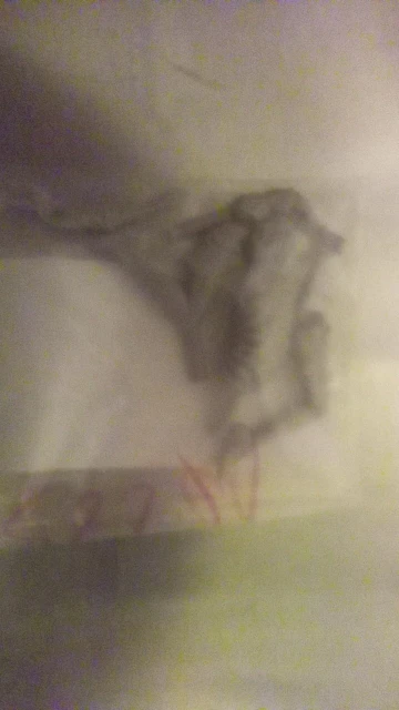 Buyer photo of this resin kit