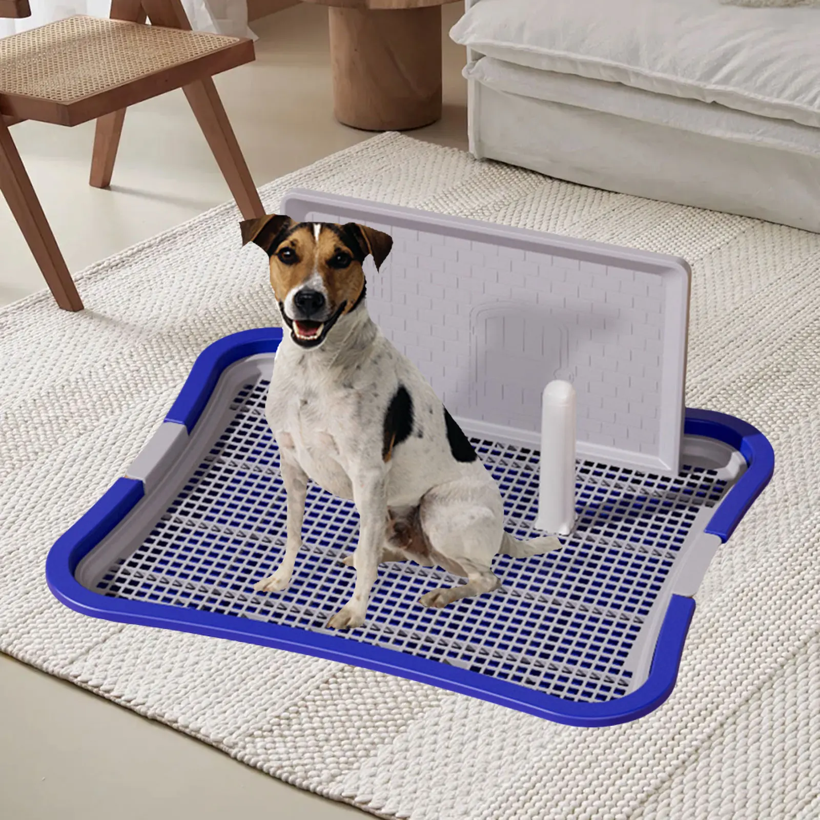 #15 Indoor Pet Litter Trays Comparison Guide