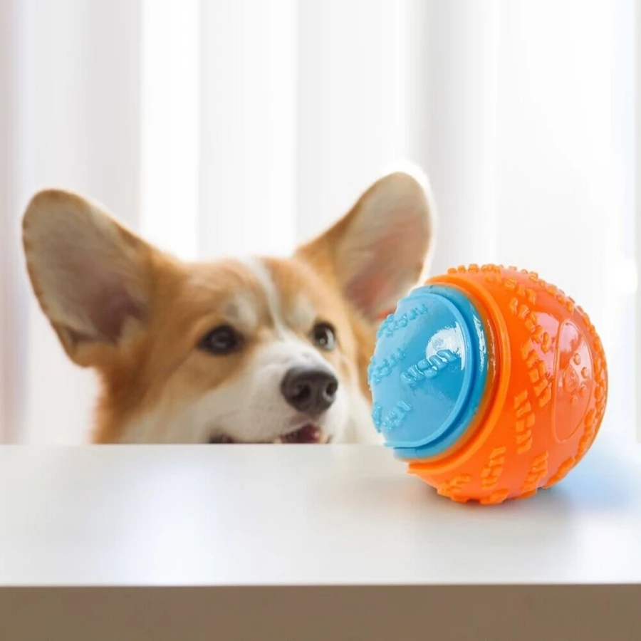 Bite-resistant Pet Dog Toy Rubber Ball Beef-flavored Elastic Ball To Prevent Dog From Destroying Things Dog Training Supply