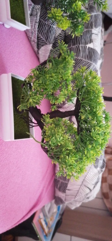 Customer photo