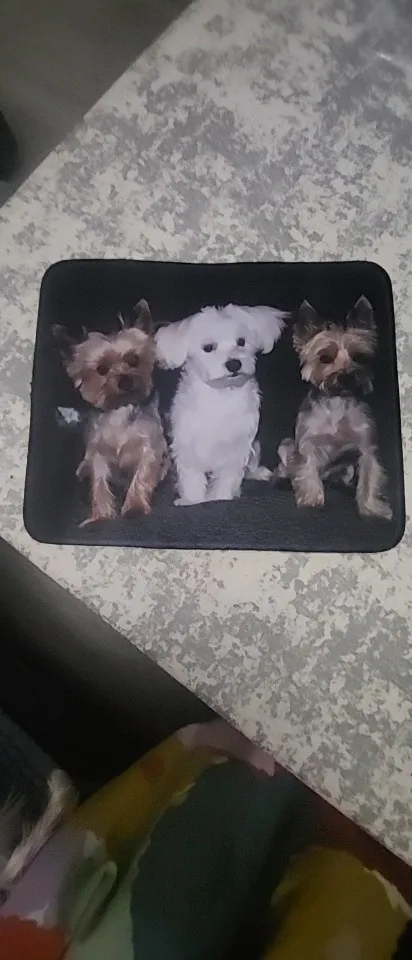 실물 포토 리뷰
