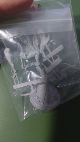 Buyer photo of this resin kit