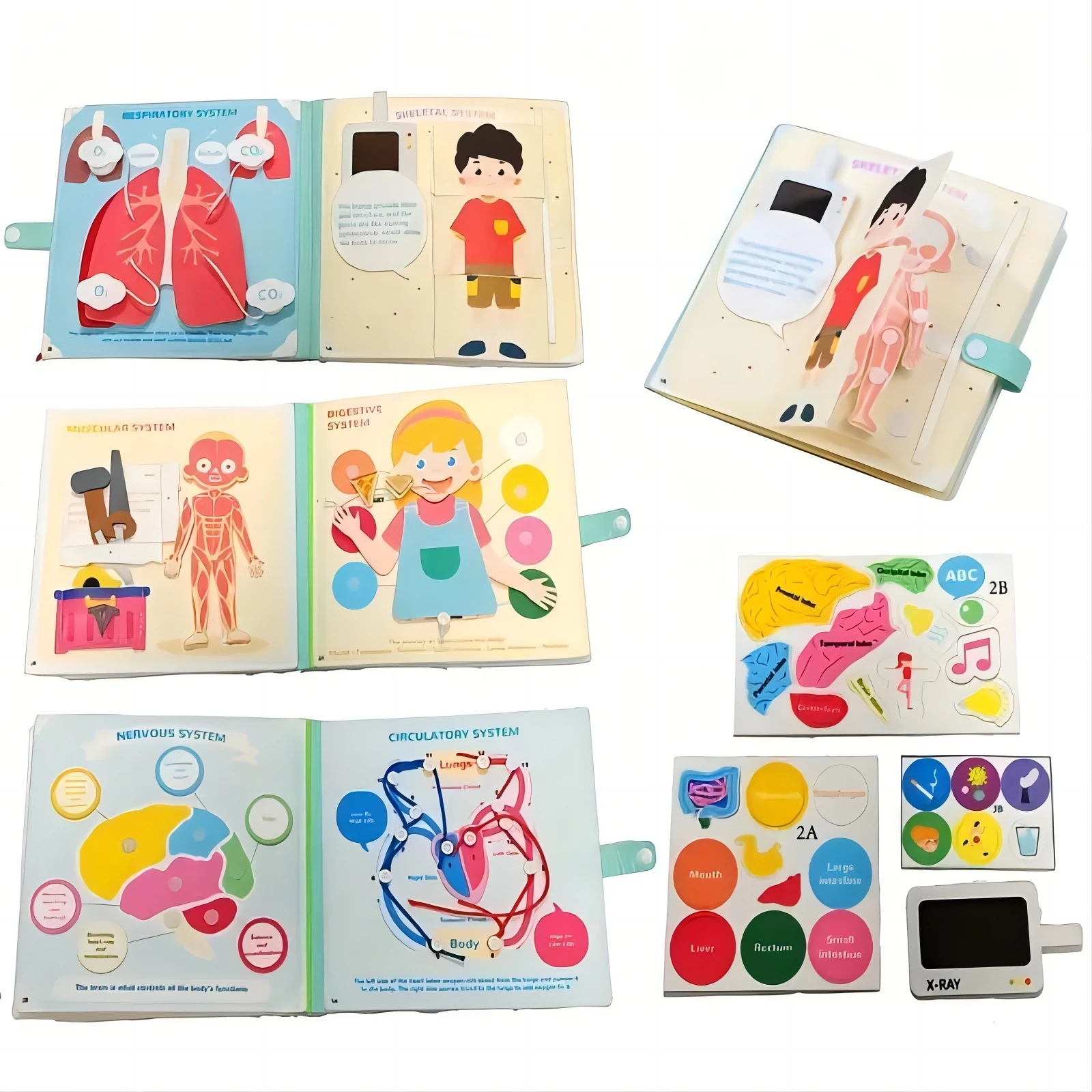 Montessori Human Body Parts Quiet Book,Toddler Toys Pretend Play Human Anatomy Book, Teaching Body Parts Felt Board  Stories