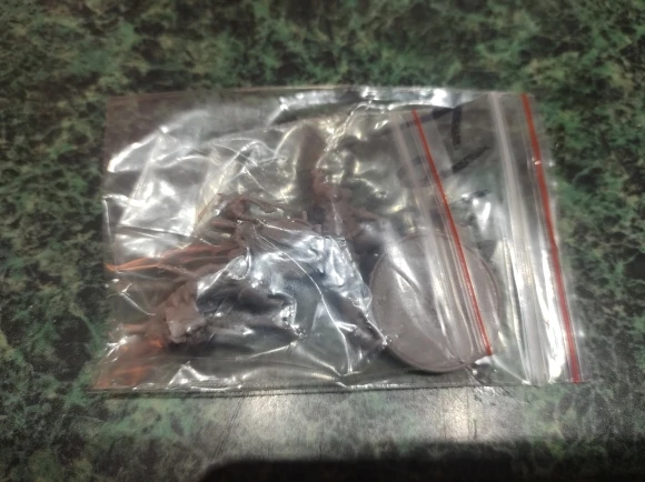 Buyer photo of this resin kit