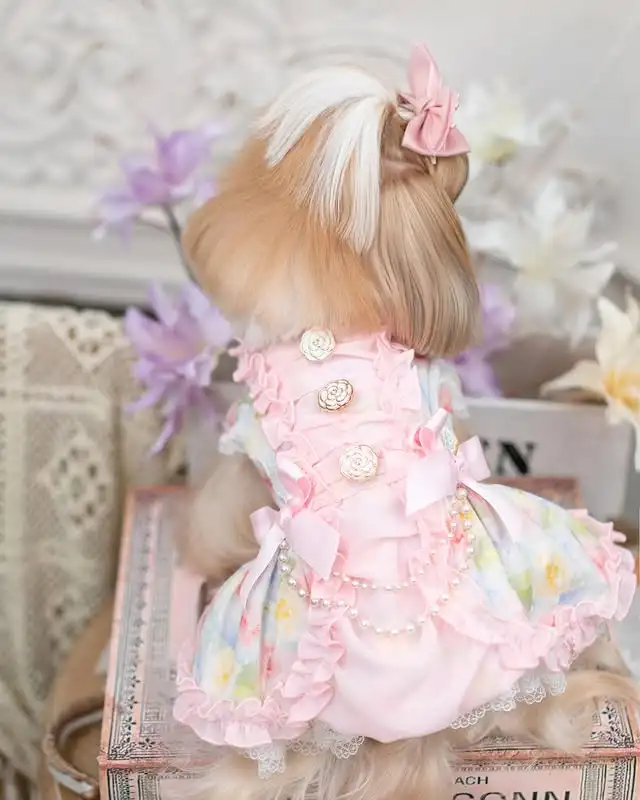 

Elegant Dog Dress Princess Style – Pearl Lace Ruffle Skirt for Small Dogs Spring/Summer