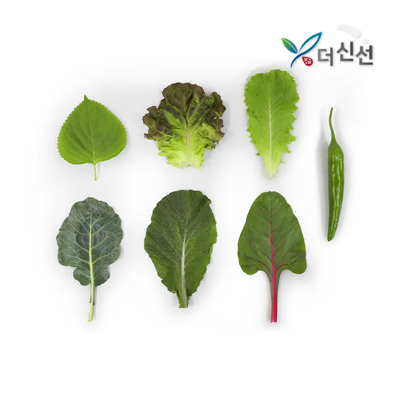 6 types of vegetables 600g / for wraps