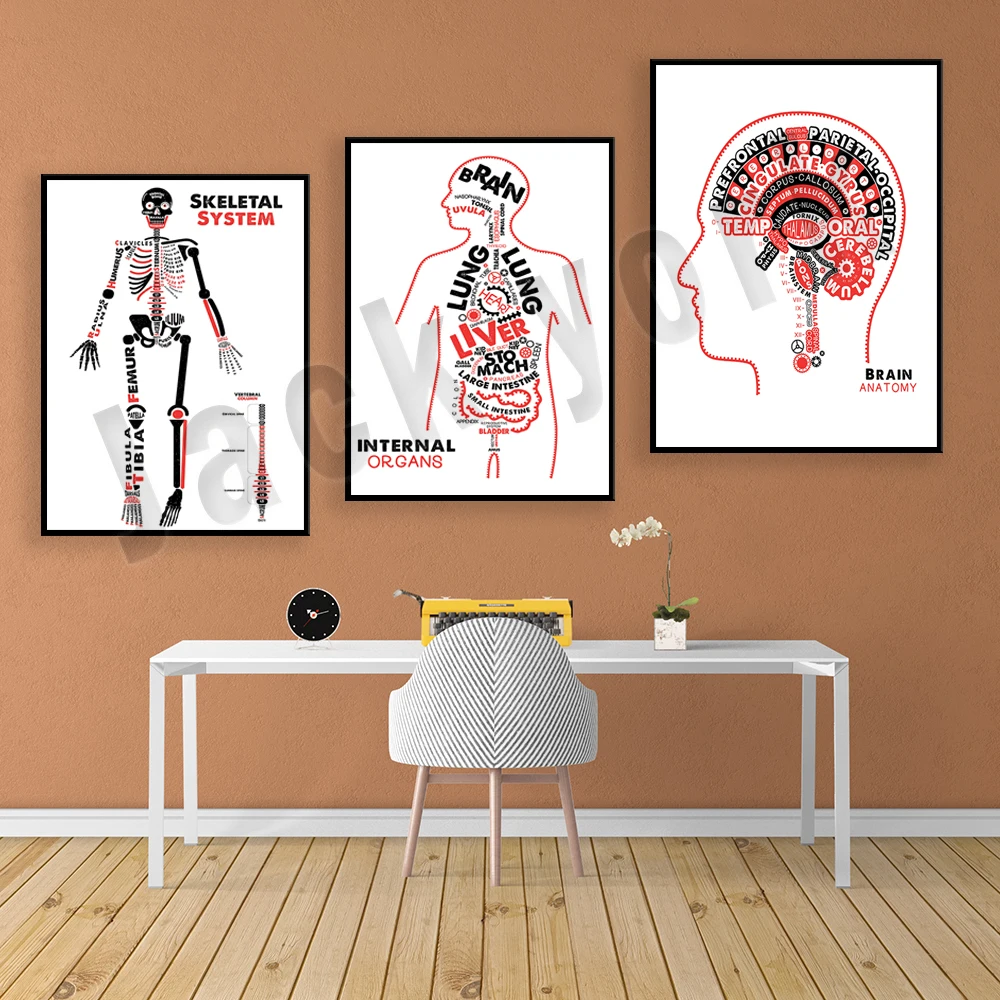 Internal organs, human skeleton anatomy poster, brain typography, educational biology, human organs, physiology illustration