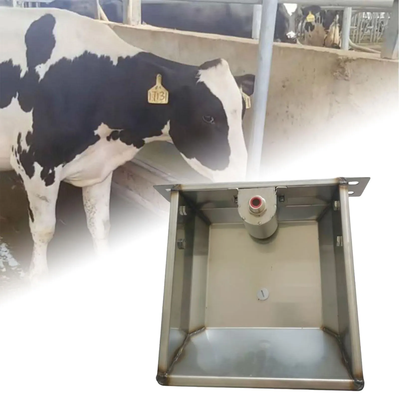 Thumbnail 4 - #1 Trending Automatic Livestock Feeders Right Now
