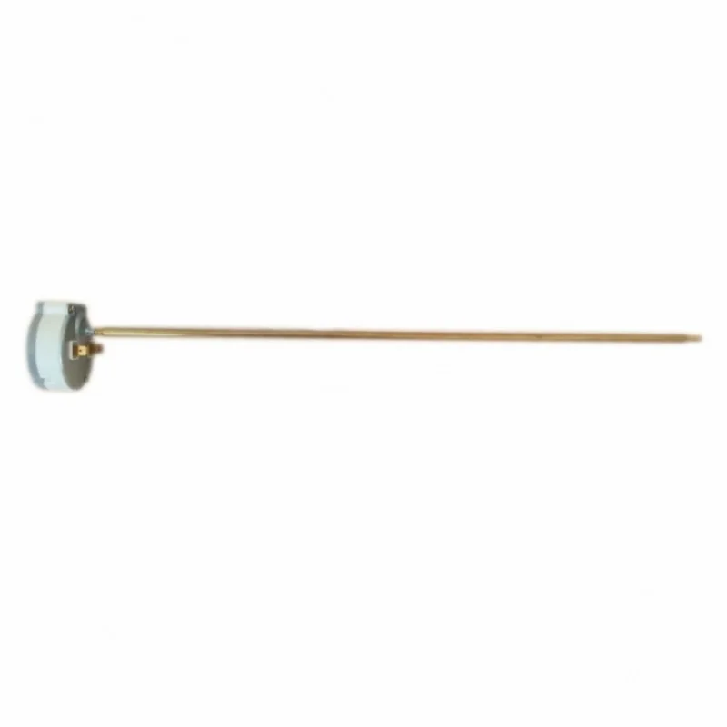Comment réarmer un thermostat de chauffe-eau Guide complet pour le thermostat Rod TBS 16A