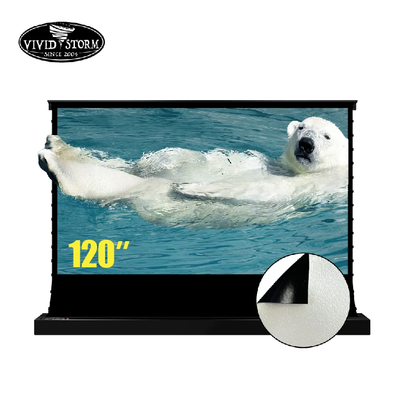 

VIVIDSTORM 120 Inch Electric Floor Screen Pearlescent White Cinema Plu Ambient Light Rejecting for Normal Projector