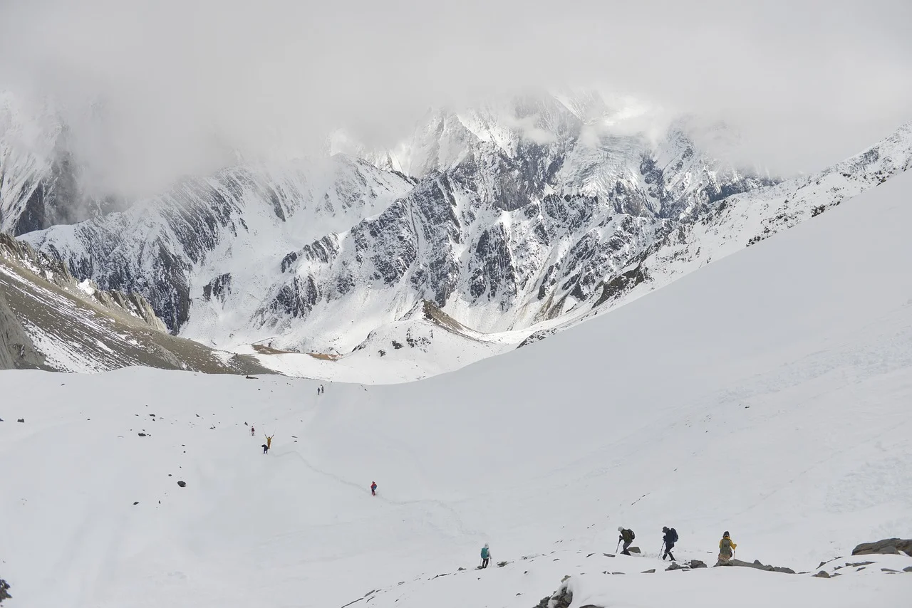 

Новинка 2026: Профессиональная рукоятка-аксессуар для диодного лазера 808 нм (3 длины волны) для удаления волос. Хит продаж 2025 года.