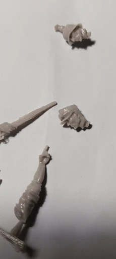 Buyer photo of this resin kit