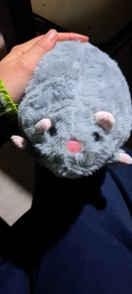 실물 포토 리뷰