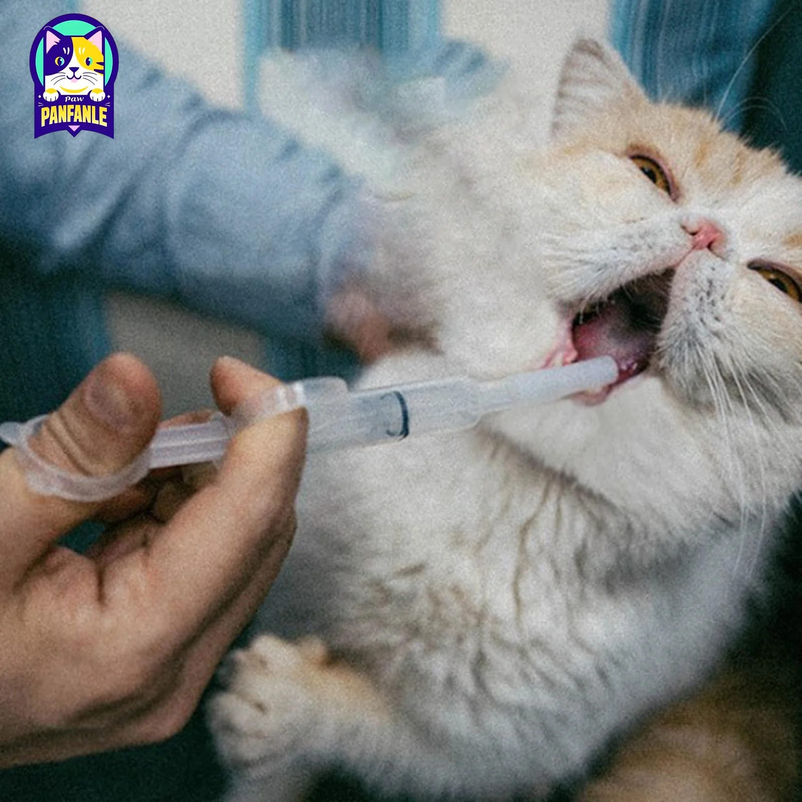 

2 шт. трубка для кормления домашних животных с силиконовым наконечником для кошек и собак, портативный шприц, кормушка для жидкого питания, медицинское оборудование для ухода