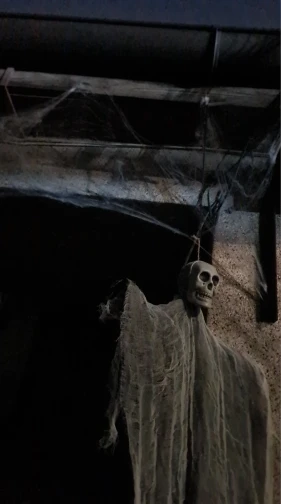 1pcs Halloween Glowing Skull Skeleton Gauze Hanging Ghost Home Outdoor Garden Decoration Halloween Party Horror Ghost Props 2025 photo review