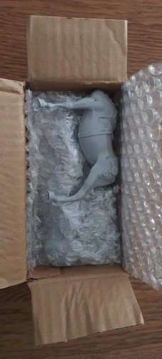 Buyer photo of this resin kit
