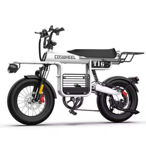 Coswheel T16 adult E-bike 1000W 48V20Ah battery commute Electric Bike,16-inch Fat Tire E-Mountain bike