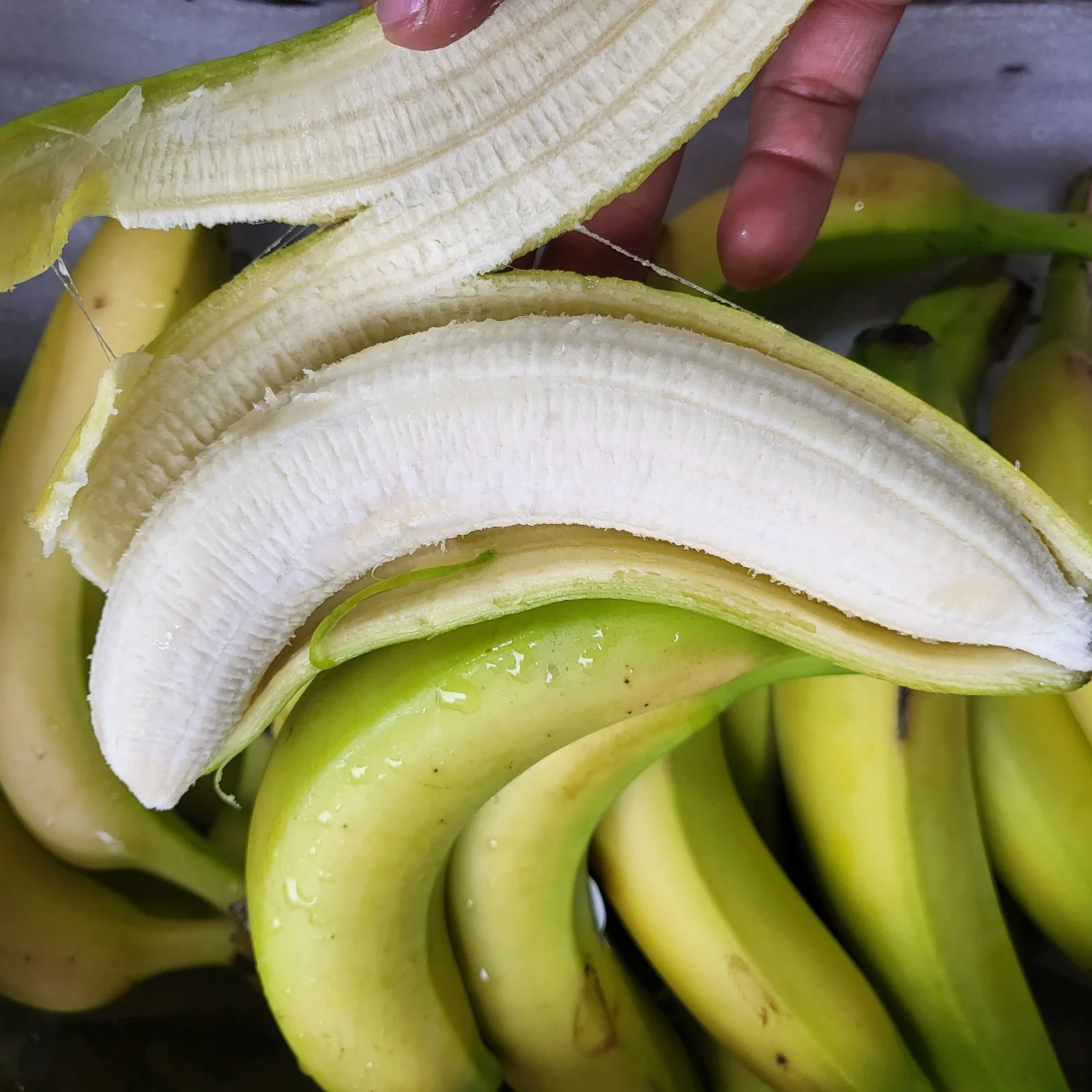 [My Daldang] pisang Waktu Nyata 3kg (sekitar 20 buah)