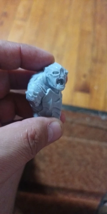 Buyer photo of this resin kit
