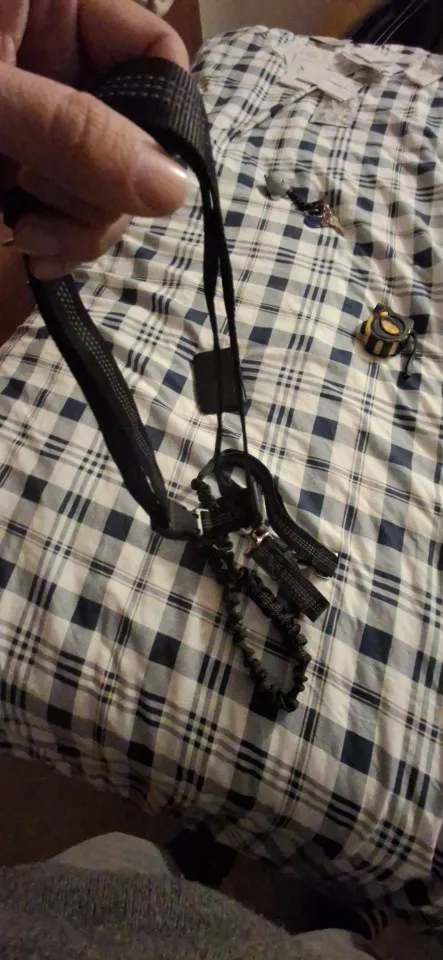 Customer review photo for Hands-Free Bungee Dog Leash with Adjustable Waist Belt