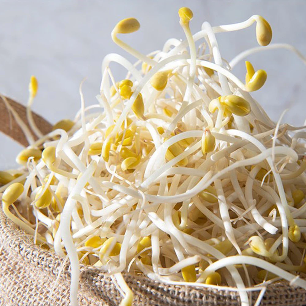 أكسجين مقرمش وصديق ، 1 ، خالي من المبيدات الحشرية