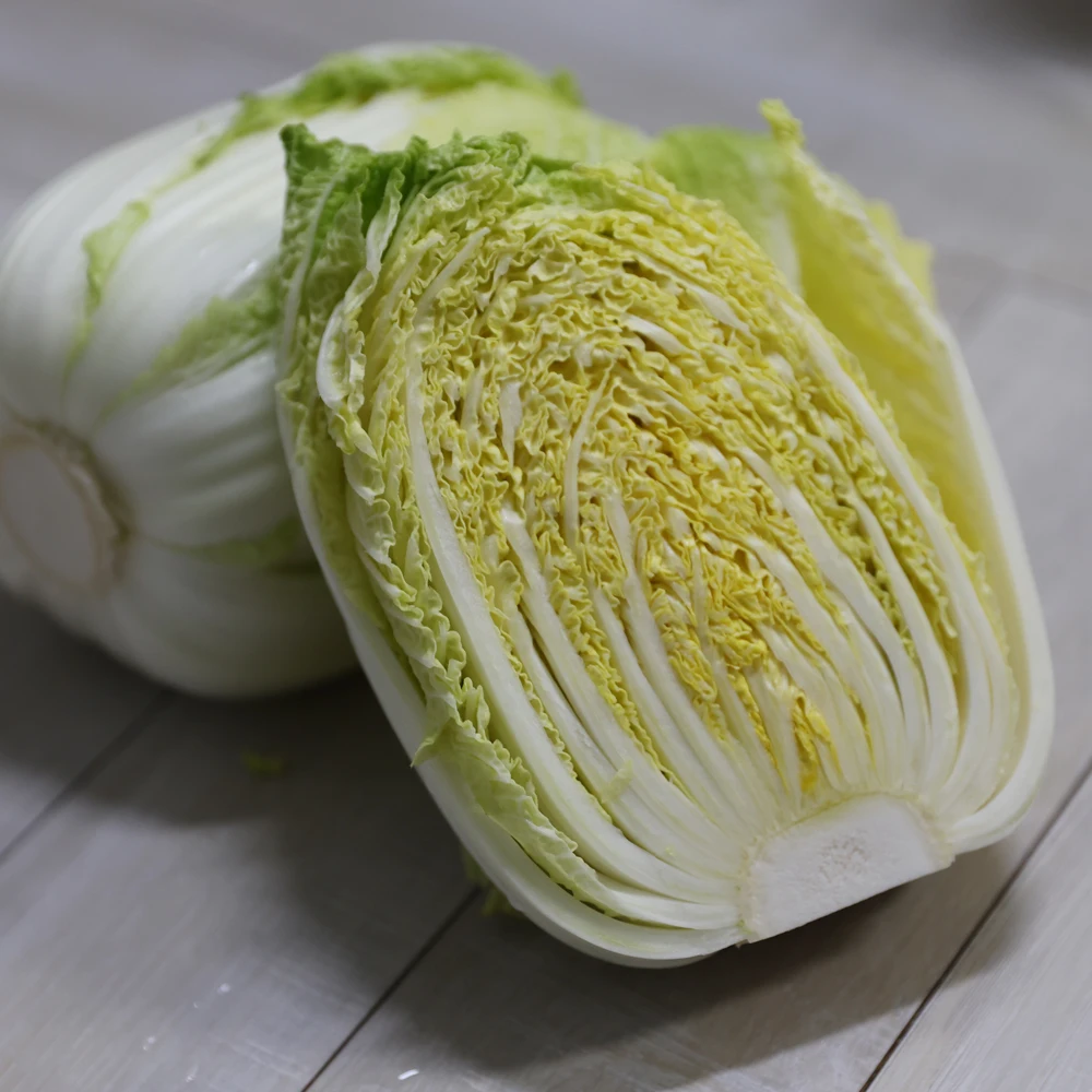 أذن البحر هاينان المجوفة ثلاث قطع ستة قطع 12 قطعة