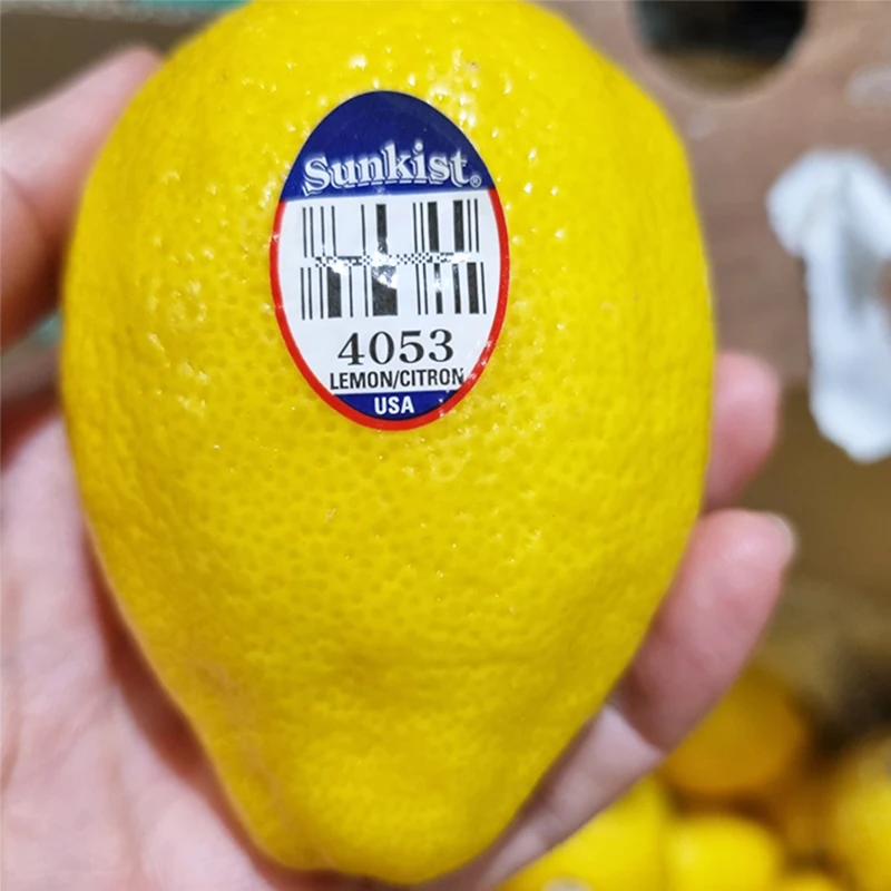 상큼함 가득 정품 수입 레몬 소중대과